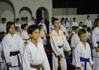 karate (34) (Αντιγραφή)